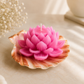Lotus Peal Bloom
